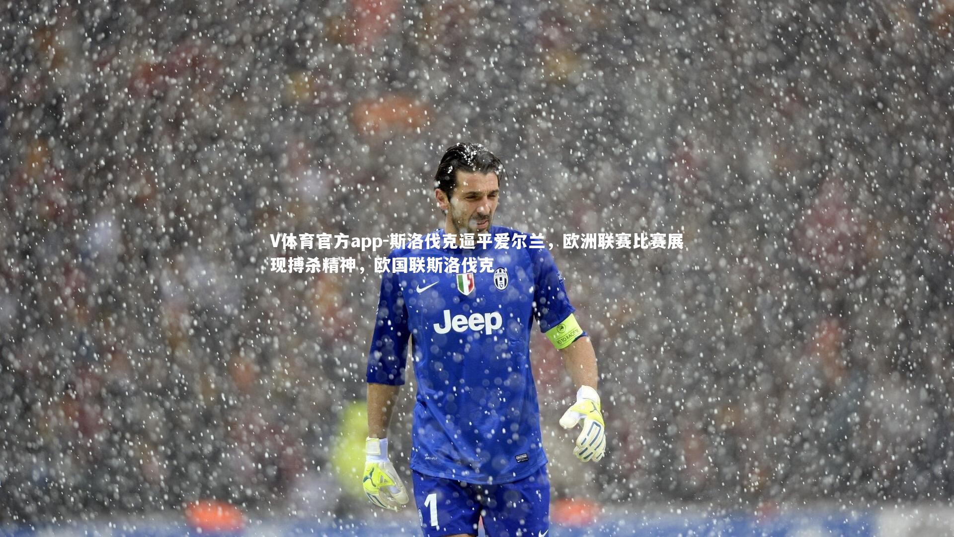 V体育官方app-斯洛伐克逼平爱尔兰，欧洲联赛比赛展现搏杀精神，欧国联斯洛伐克